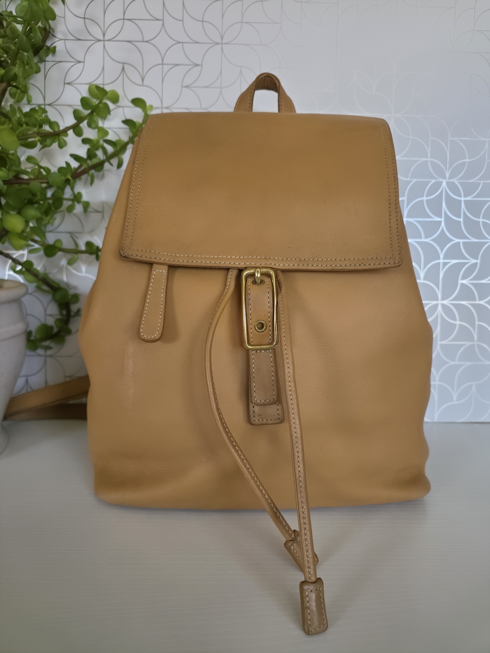 Vintage Coach Legacy West Hampton Daypack Backpack